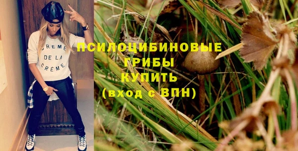 прущая мука Алзамай