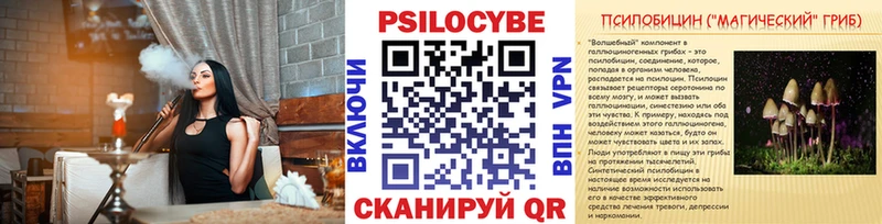 закладки  Анива  Галлюциногенные грибы мицелий 